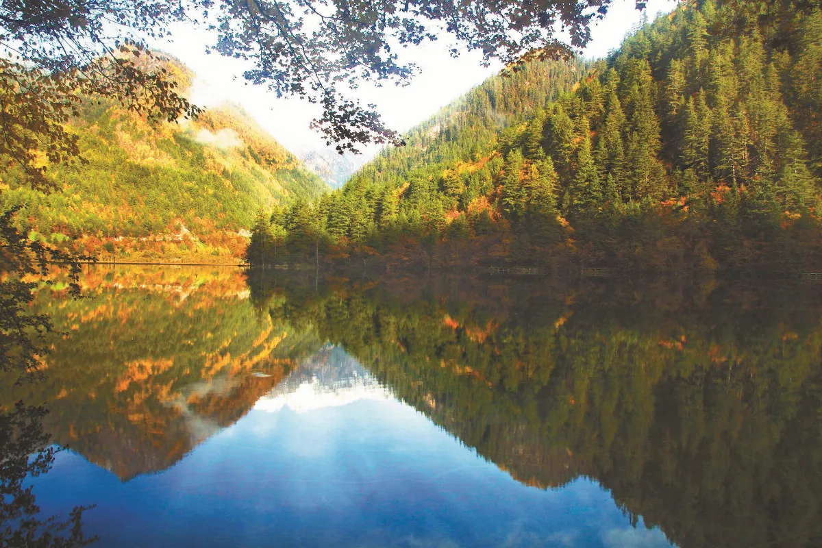 隨堂開示錄─集會共修 33  我們的淨土在哪裡 2-2