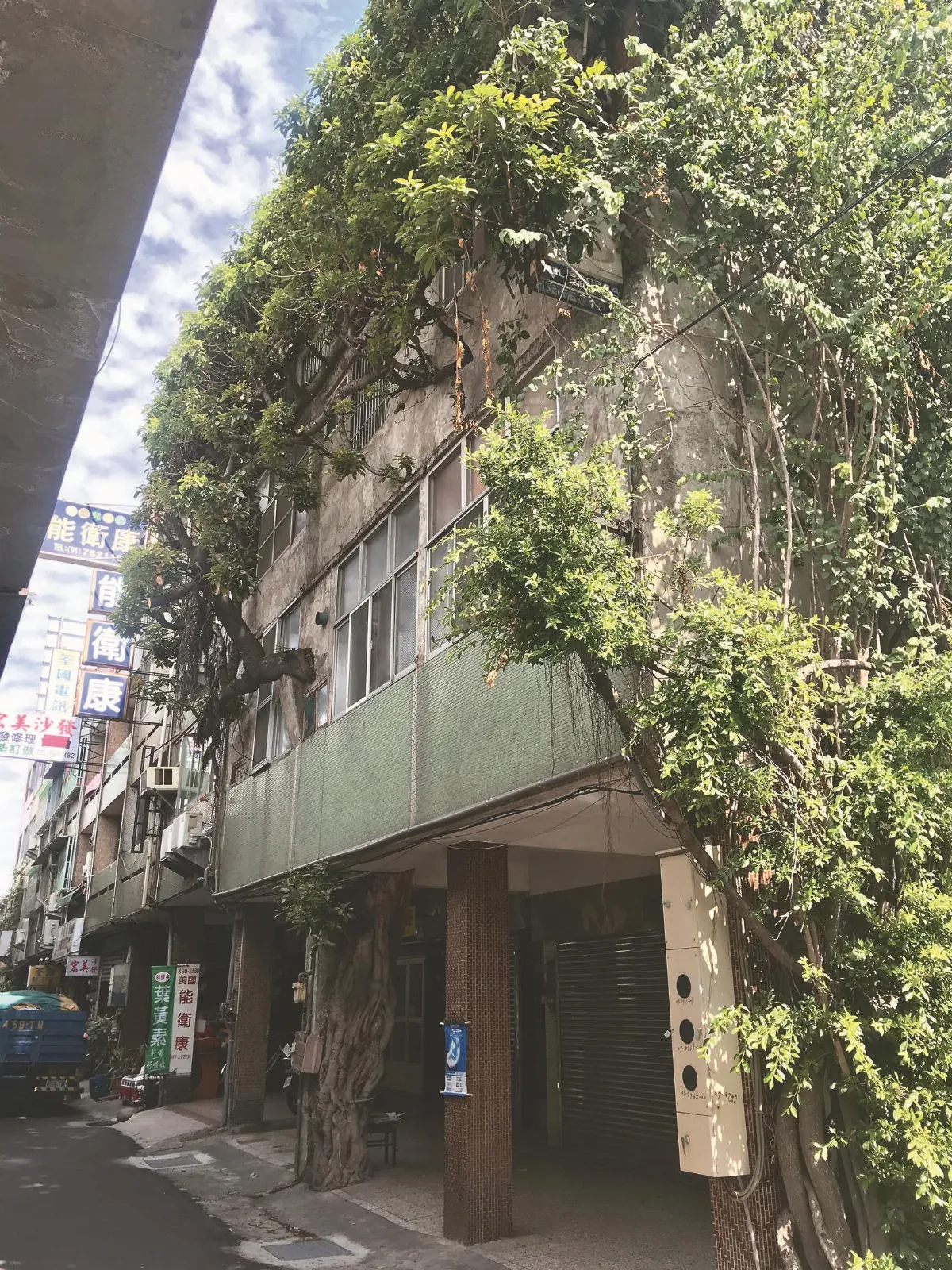 不捨砍老樹  透天厝依勢興建