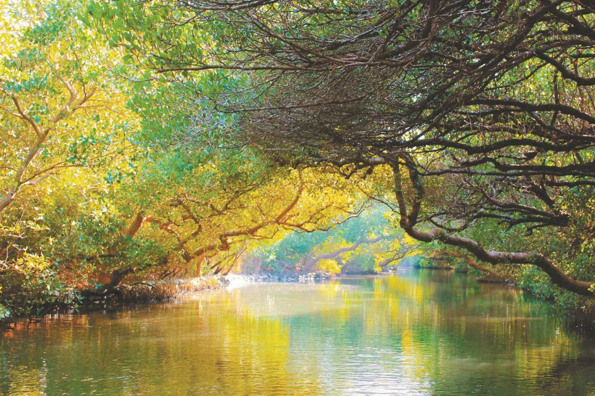 世界級美景 台灣看得到