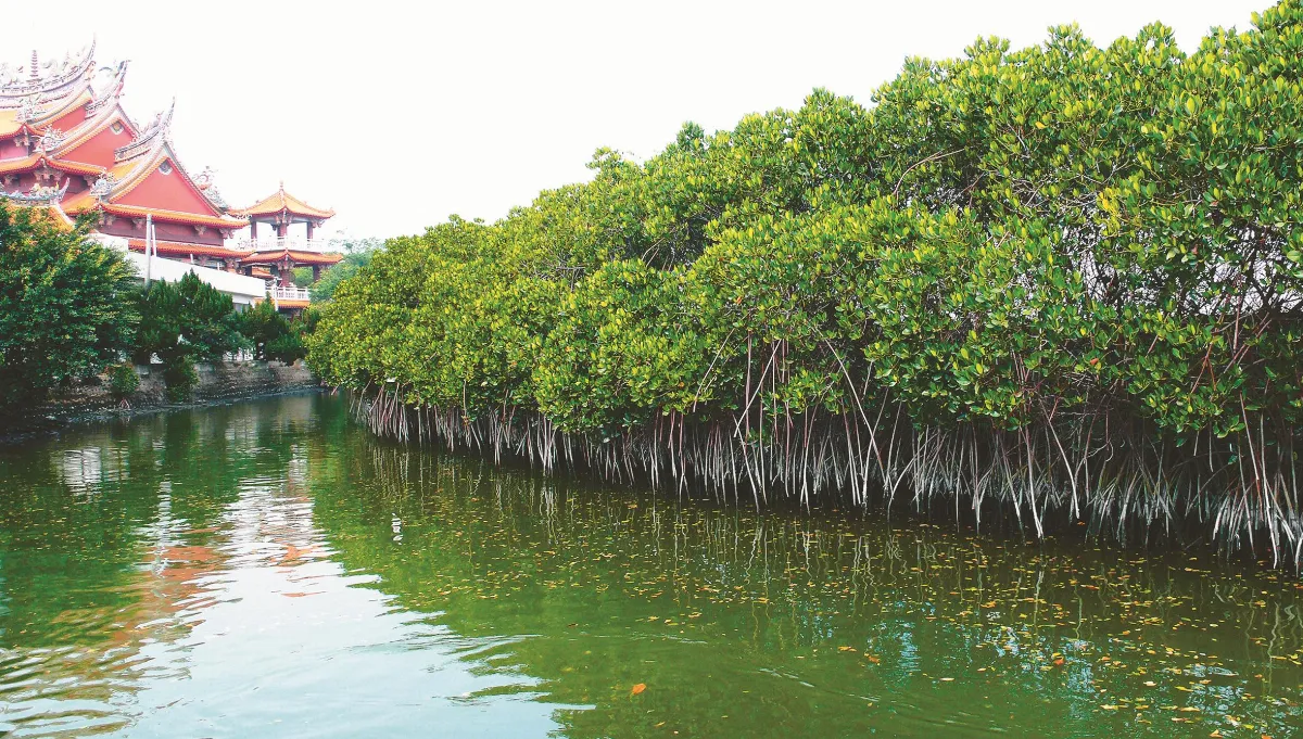 島嶼拼圖 府城四草（上）