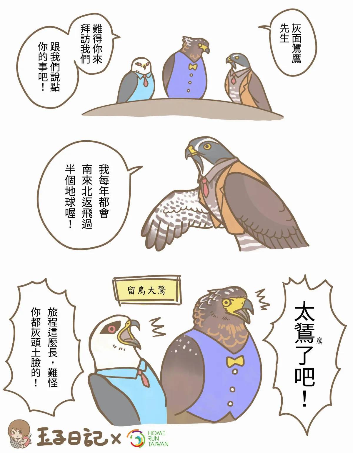 玉子手札 國慶鳥 灰面鵟鷹