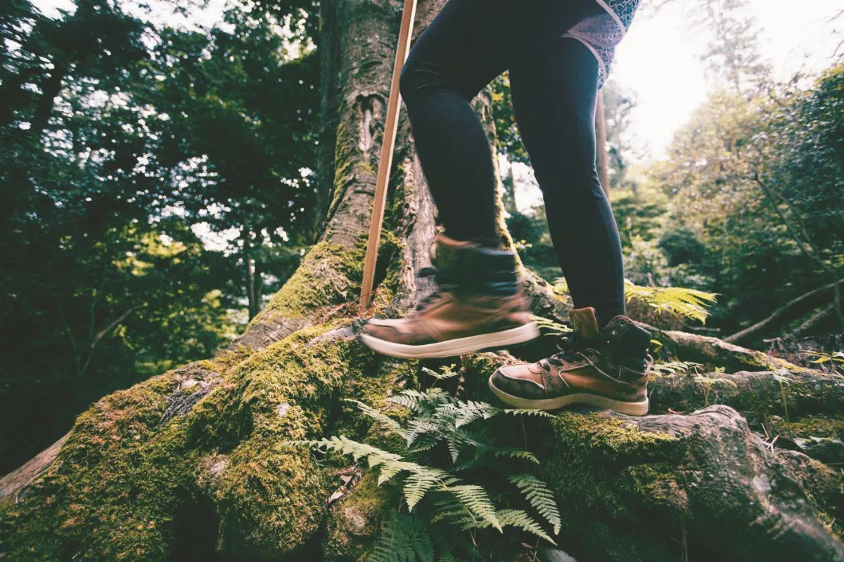 海闊天空   夏秋遊 旅行出現新模式