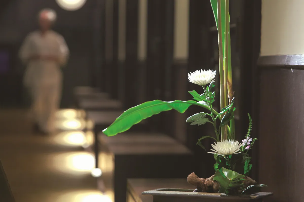 林谷芳 傳承 禪 文化