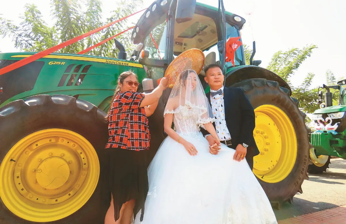 與國同慶 結婚對數創新高