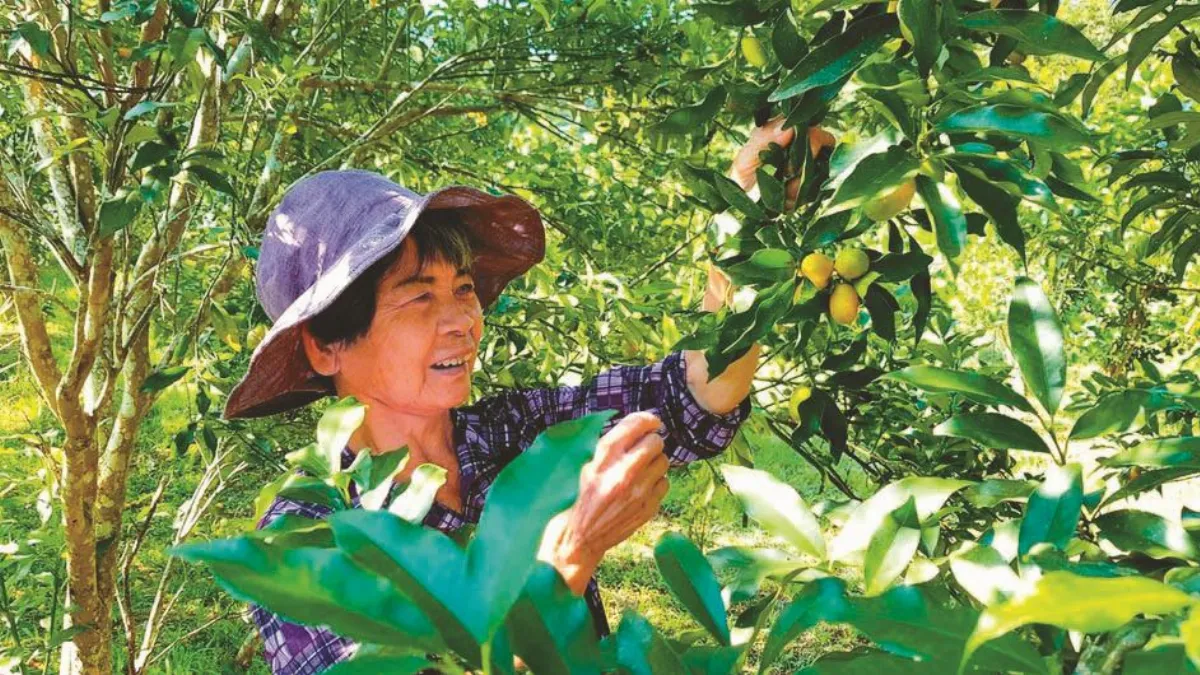 友善小旅行 長者快樂出遊