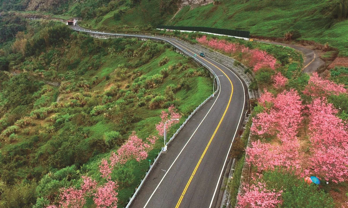 用心縫合的破碎公路  國際景觀競賽獲獎