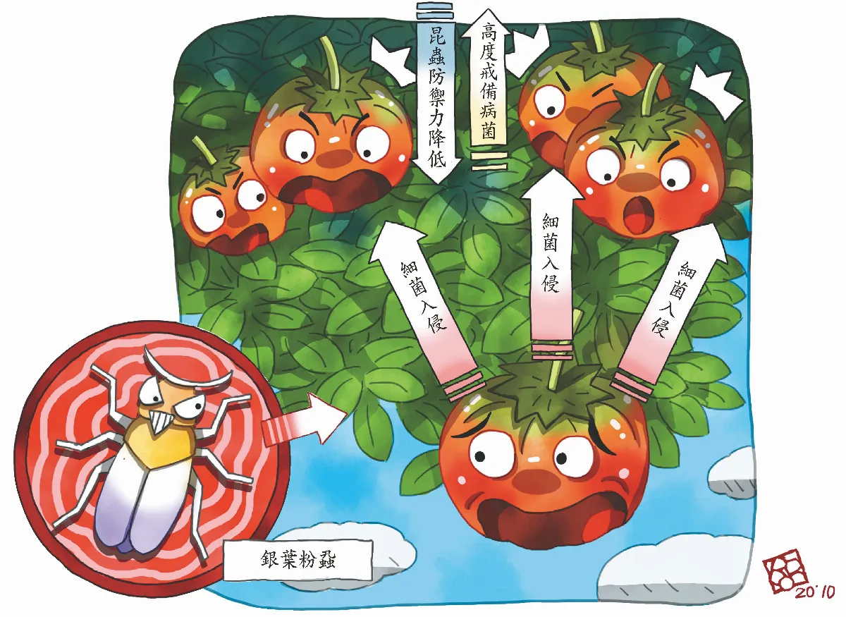 植物界也有假消息