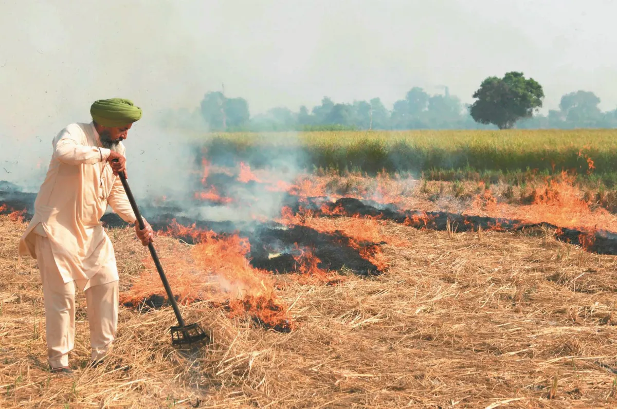 空汙季屆臨 印度防疫雪上加霜
