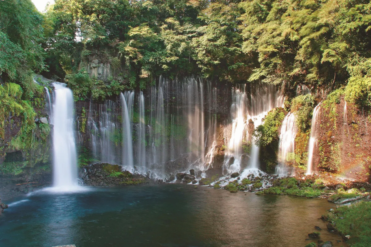 隨堂開示錄─集會共修 37 佛光山與佛光會 6-5