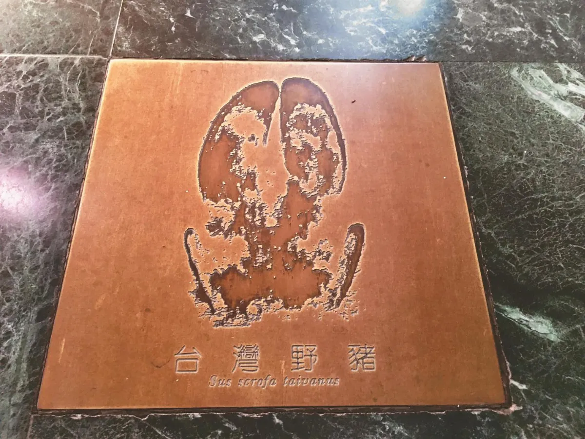 瑞穗生態教育館 認識山林保育&ensp;物種平衡共生
