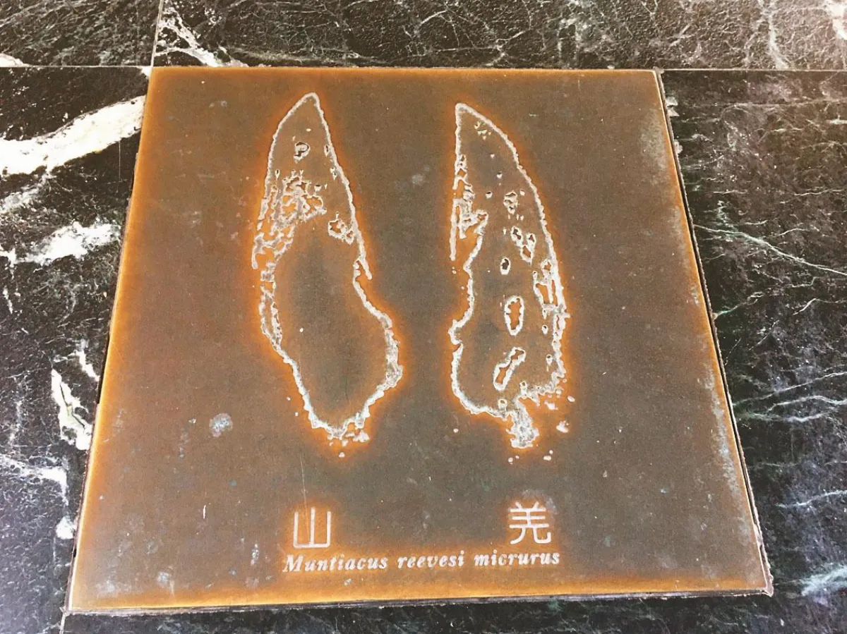 瑞穗生態教育館 認識山林保育&ensp;物種平衡共生