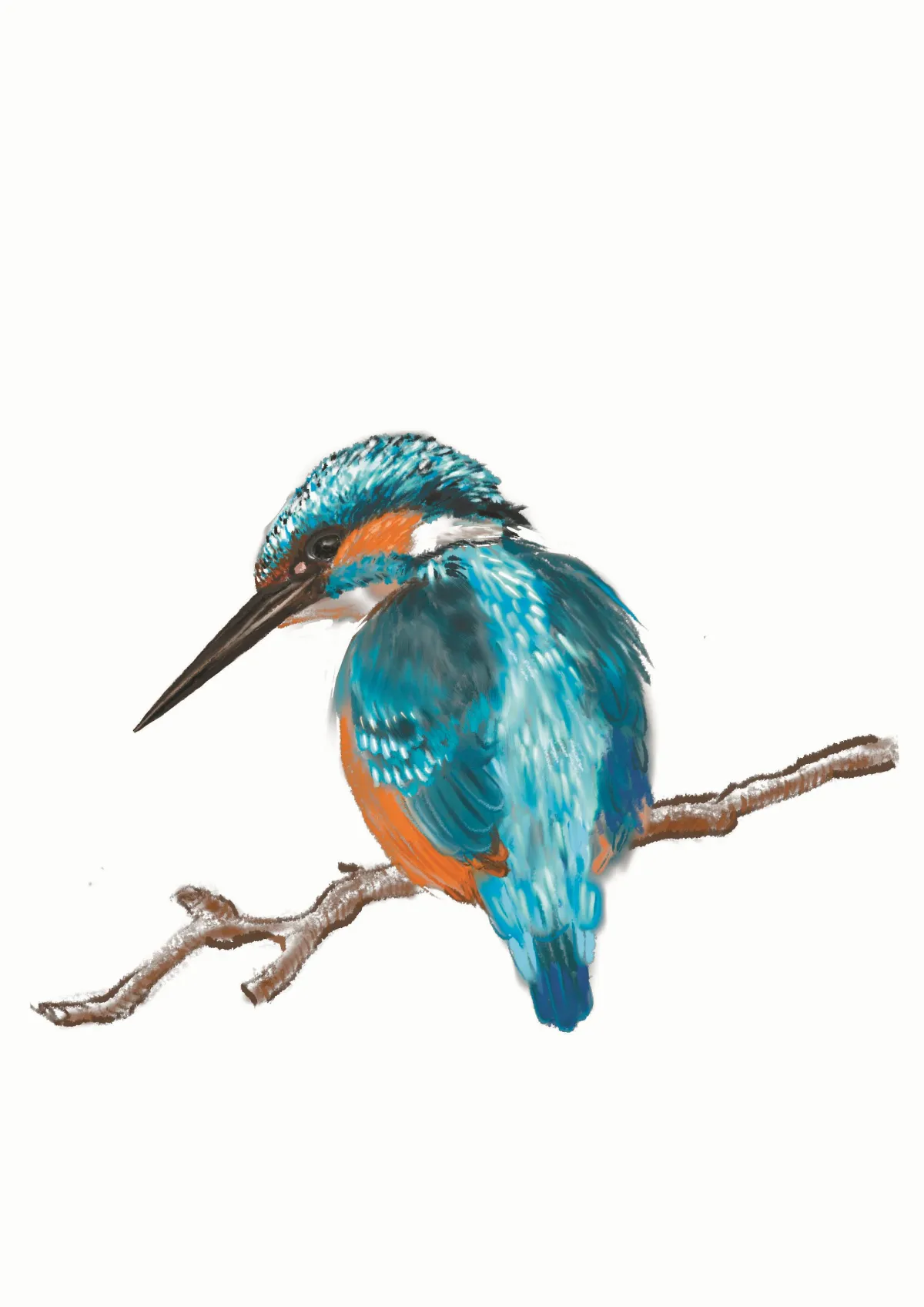 跟翠鳥學衝刺