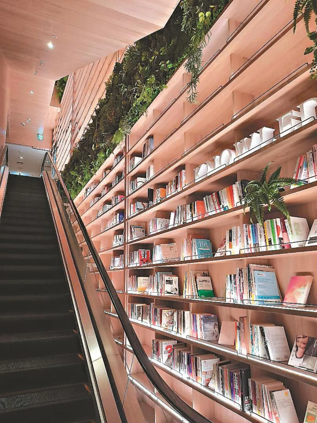 生活 快門 再忙也要讀本書