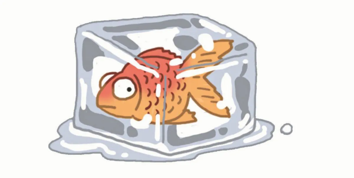 名偵探柯柯的邏輯挑戰  竹林裡的贓物