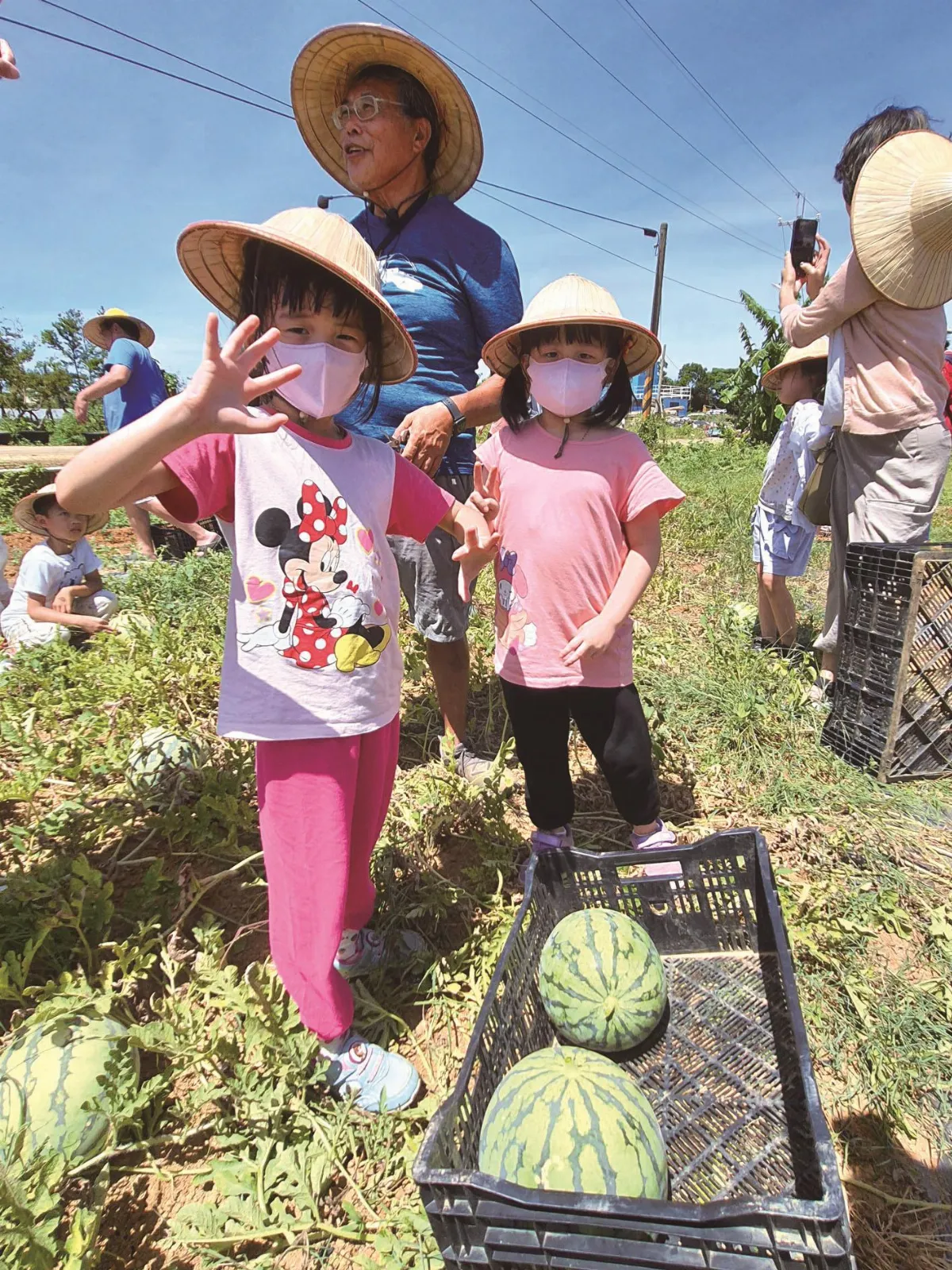 印象旅人 西瓜 荔枝 果園採收樂