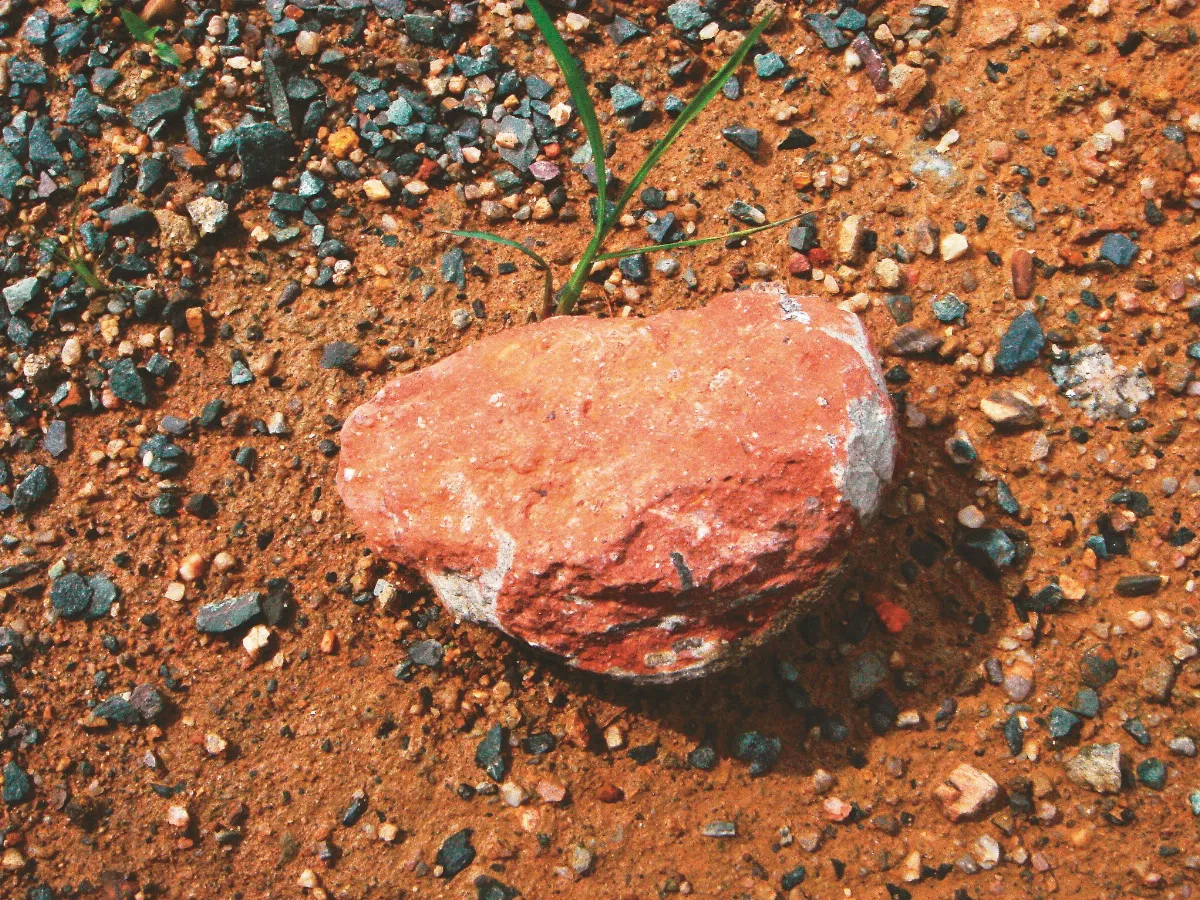 考古的故事 河源恐龍博物館 侏羅紀公園現代版