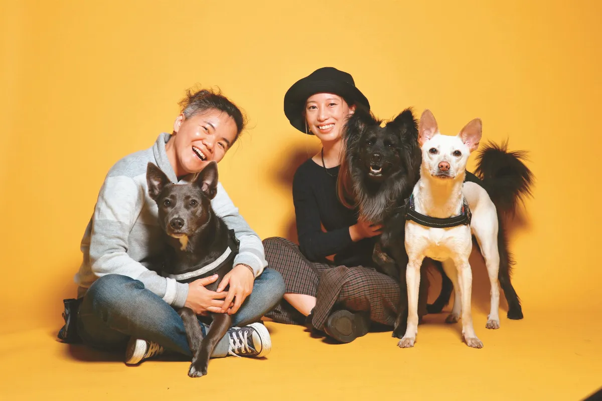 陳奕君 鍾皓羽 讓流浪犬變心輔犬
