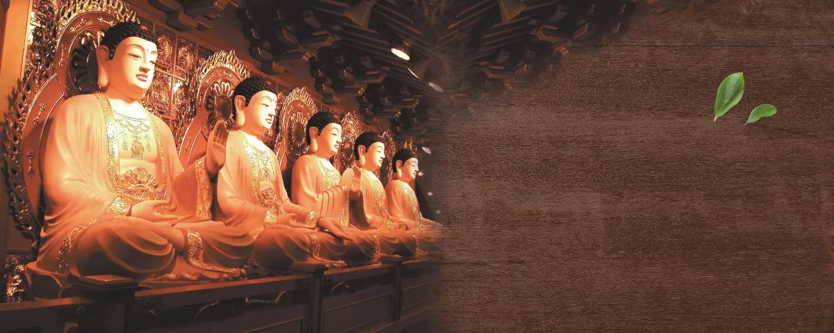 【人間佛教的經證】離八風之患