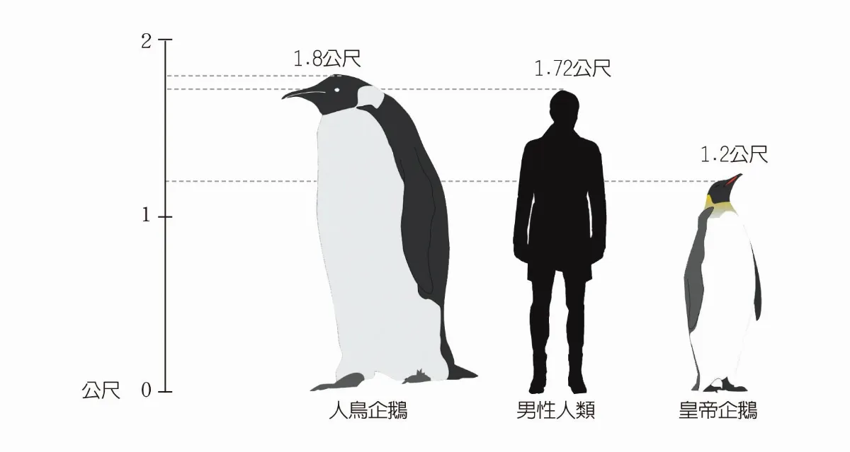 企鵝老家在哪？