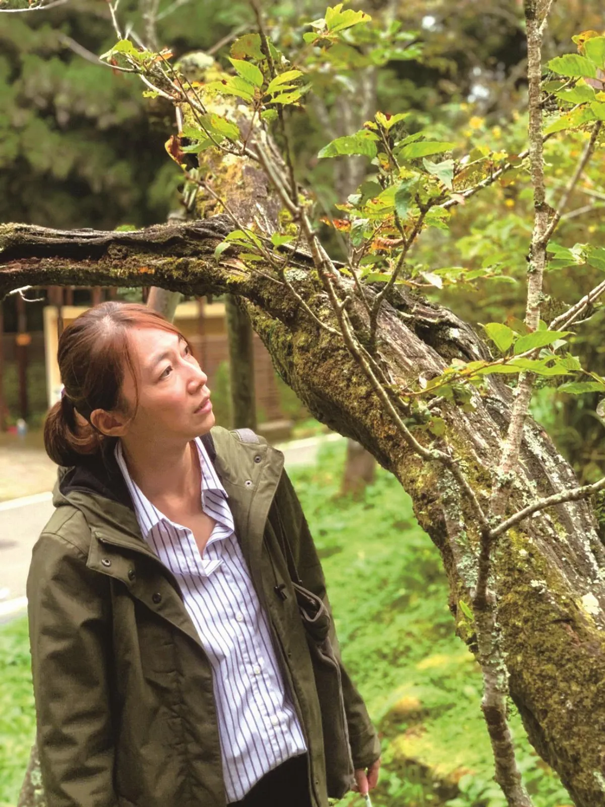 詹鳳春 女樹醫發願救治台灣樹