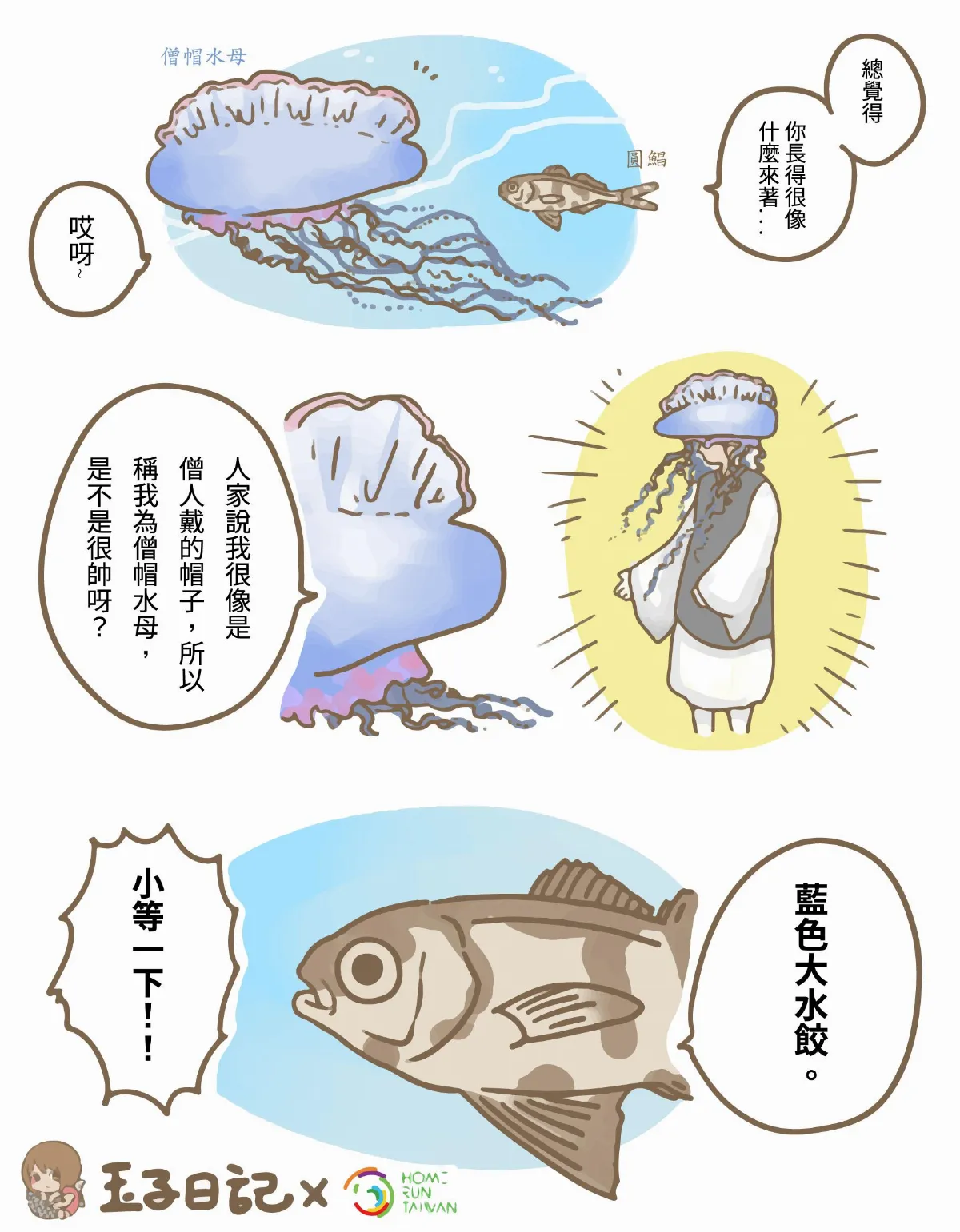 玉子手札 戰艦般的奇特生物──僧帽水母