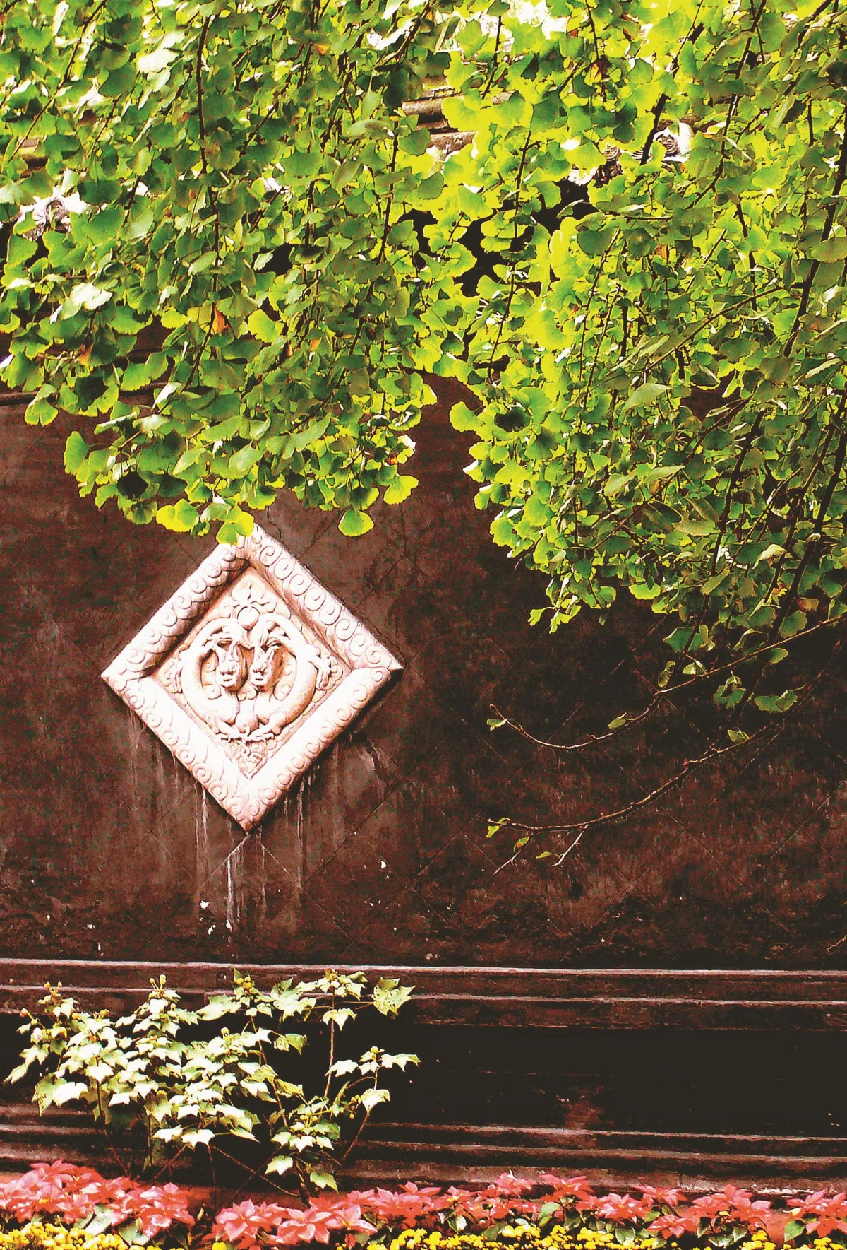 島嶼拼圖 金秋美景話銀杏