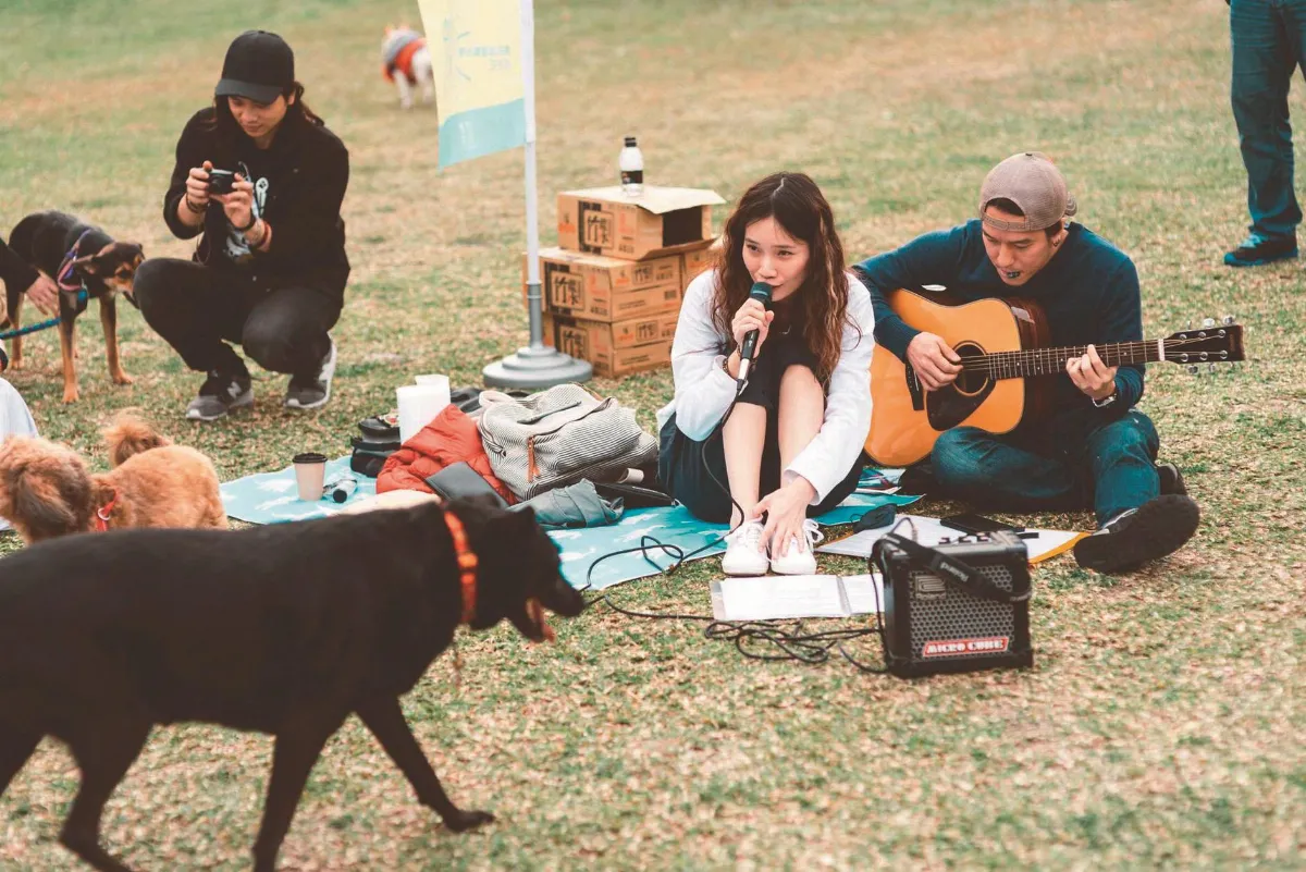 溫暖歌聲 唱出浪浪動人故事