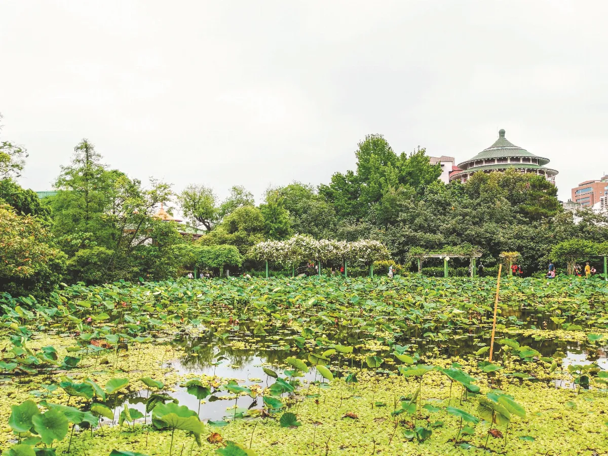 【走讀城鄉】 百年植物園