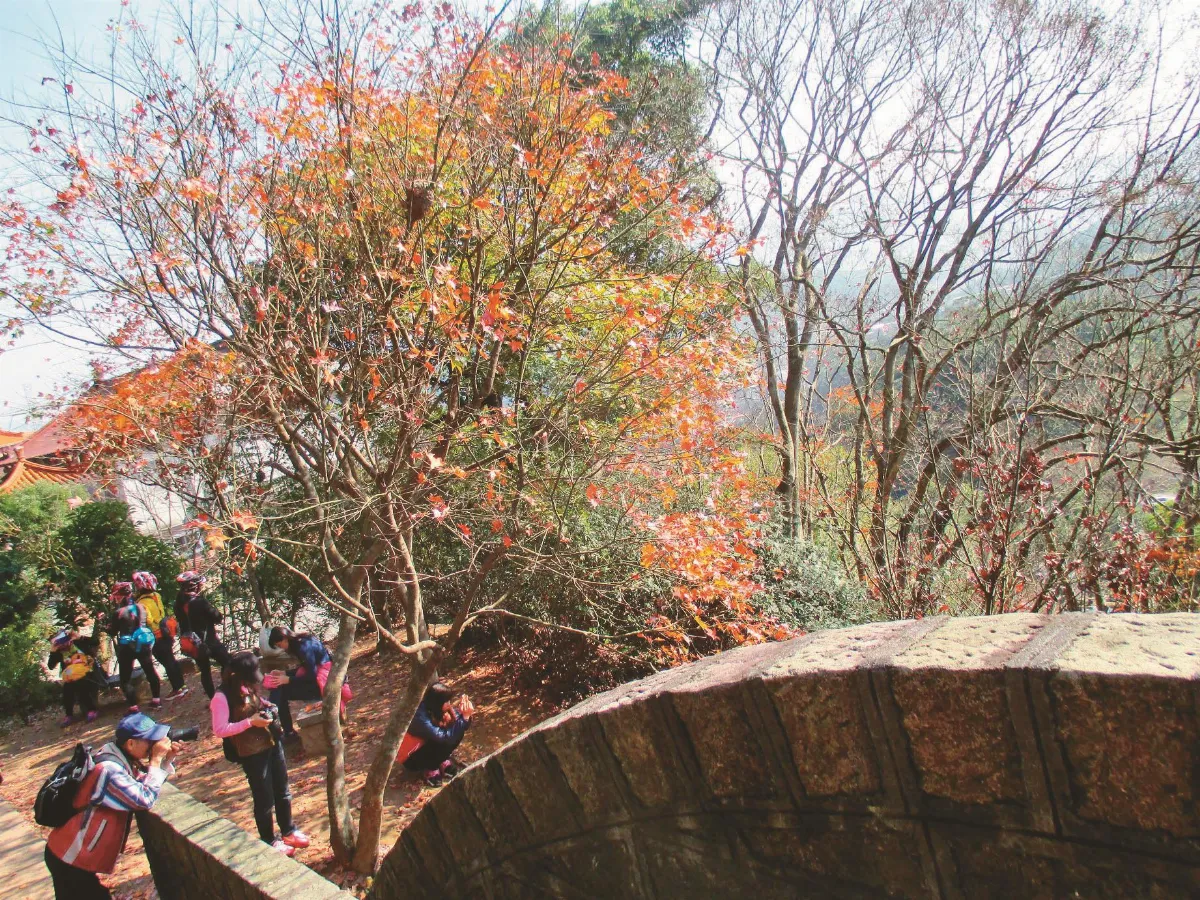 印象旅人 拱北殿 古寺映楓紅