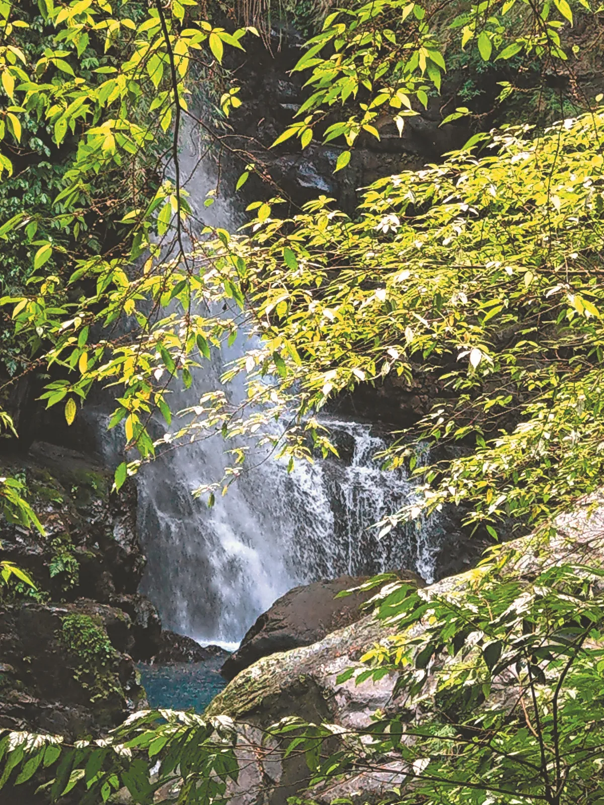 雲居晨悟 法性