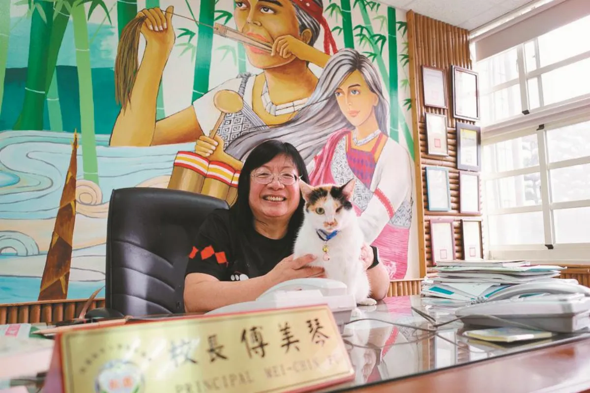 流浪貓校長  療癒原鄉師生