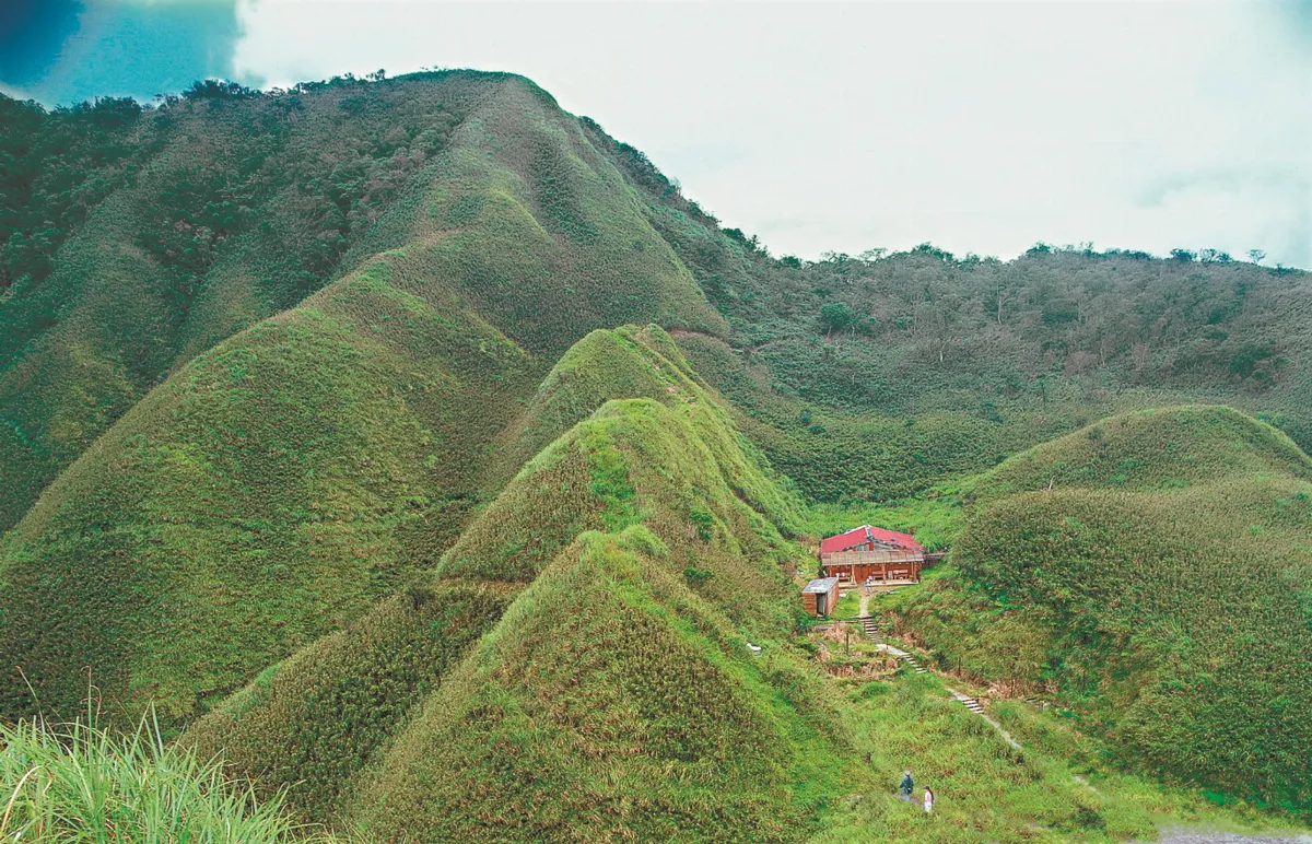 護山菩薩  守護抹茶山