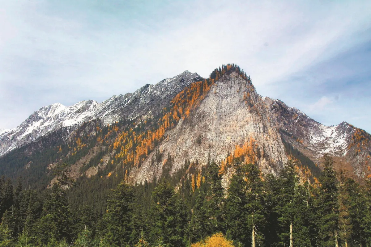 隨堂開示錄─集會共修 47 海外移民 安住身心之道3-3