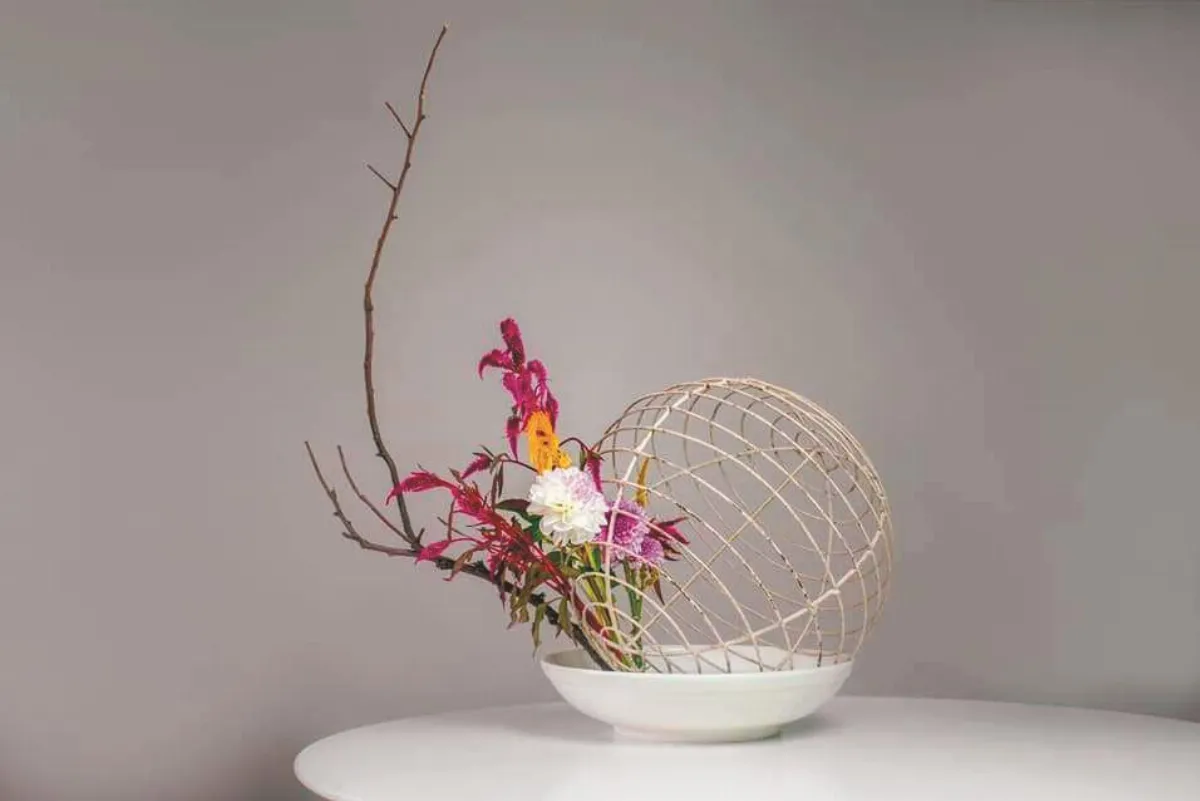 【花開自有時】  春華秋實