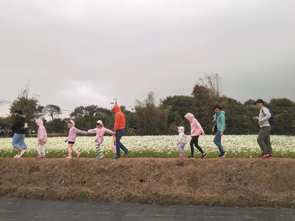 生活快門 花海中前行