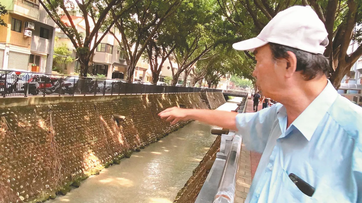 榕樹乖乖長 網住水泥護岸
