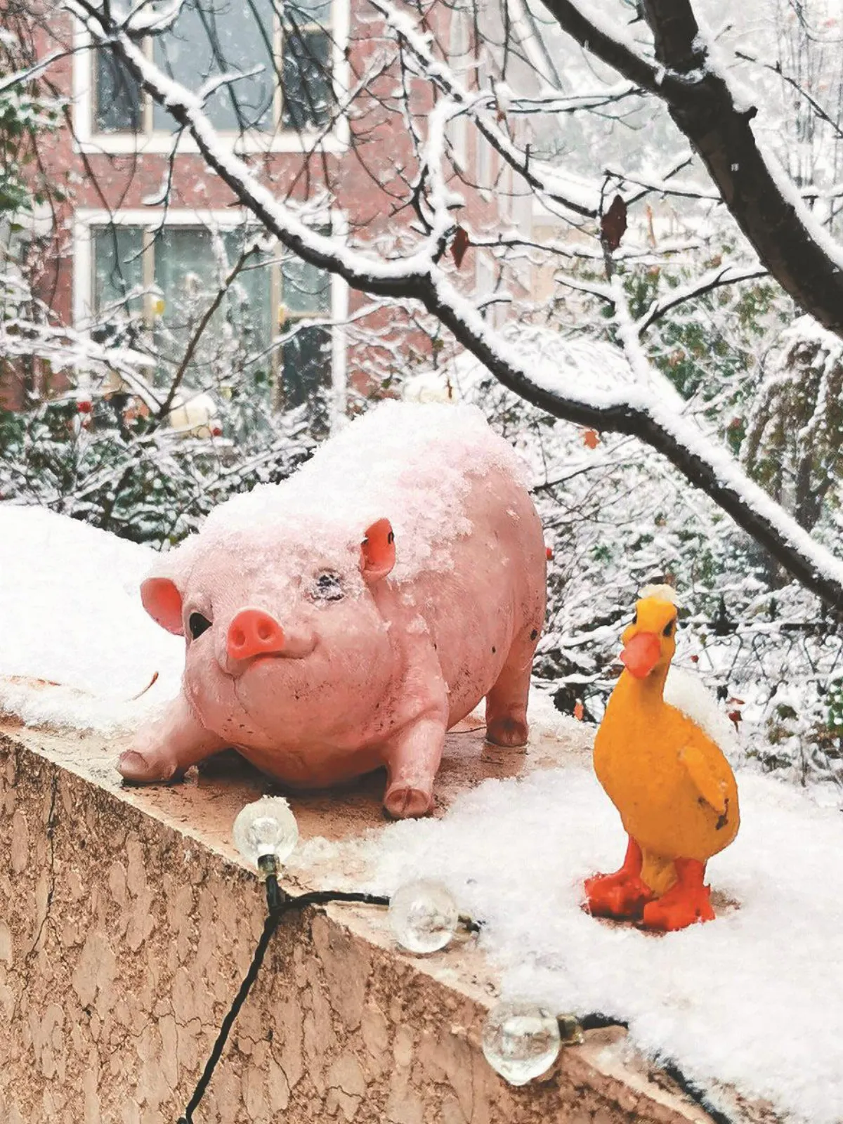 北京初雪