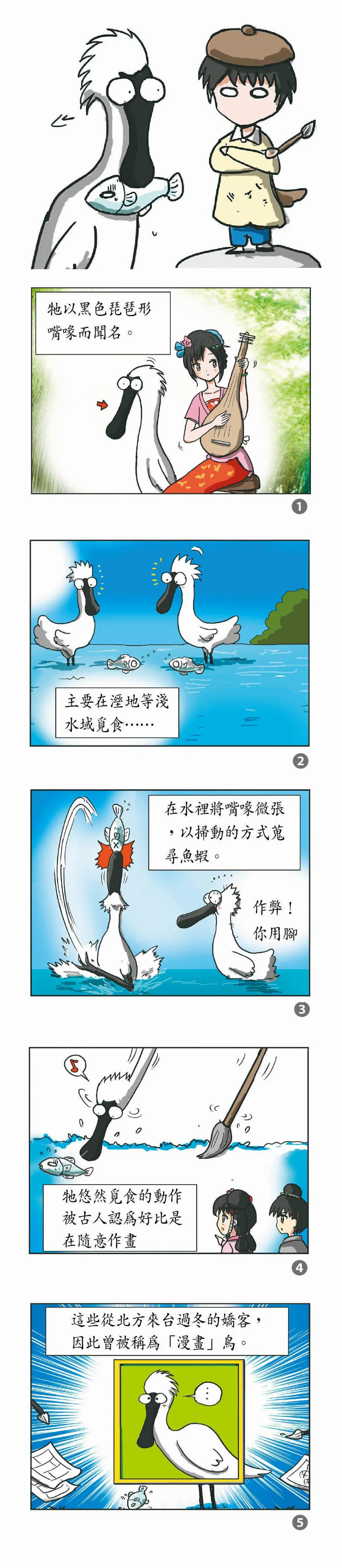 科學研究部 黑面琶鷺──漫畫鳥