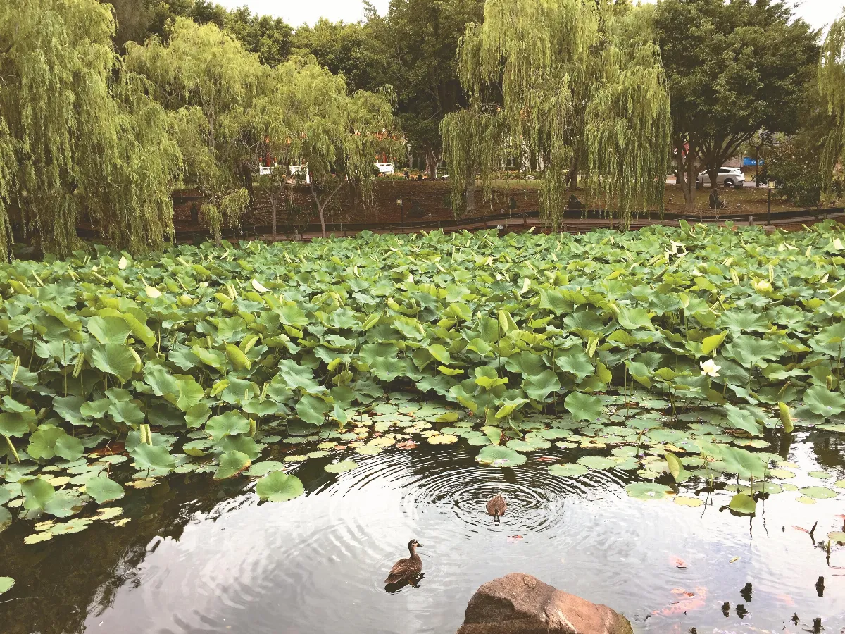 隨堂開示錄─集會共修 50  當東方遇上西方──佛教與世界和平 6-2