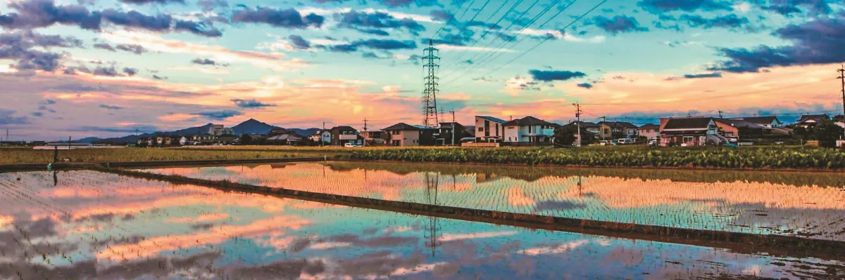 夕陽映照彩霞 宛如動畫美景