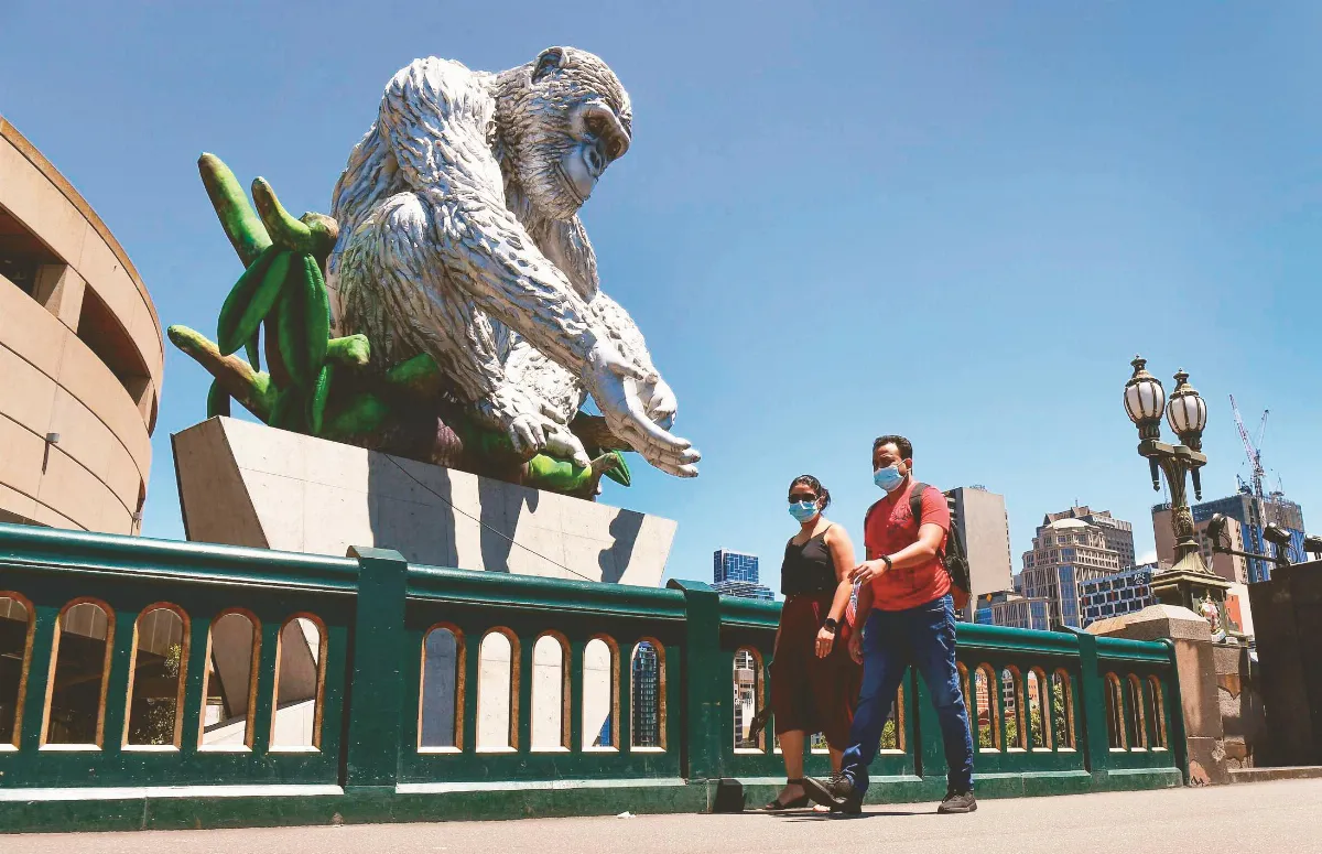 灰鬍子大衛的凝視