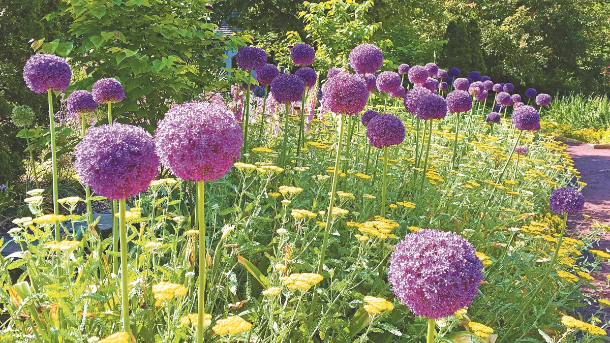 朗朗晴空 把愛傳出去