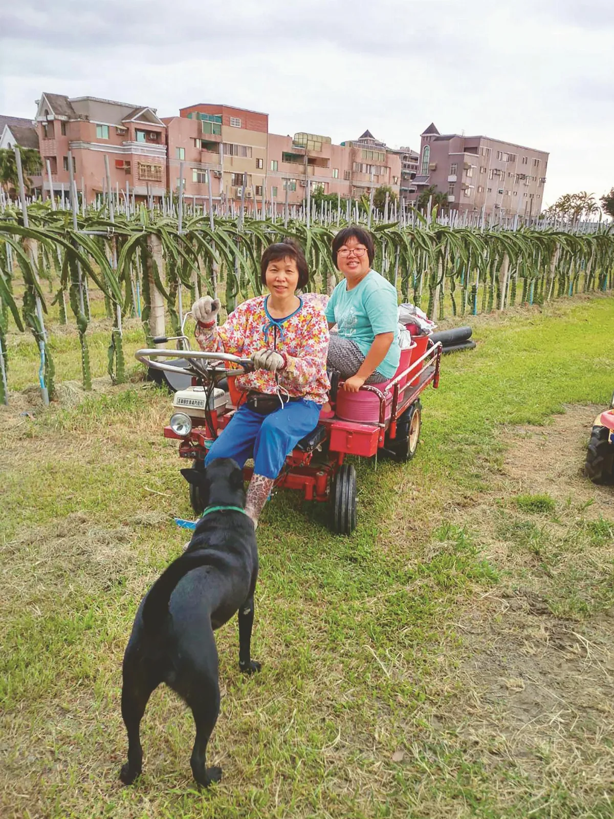 女兒1年學會掃地 母深情相伴30年