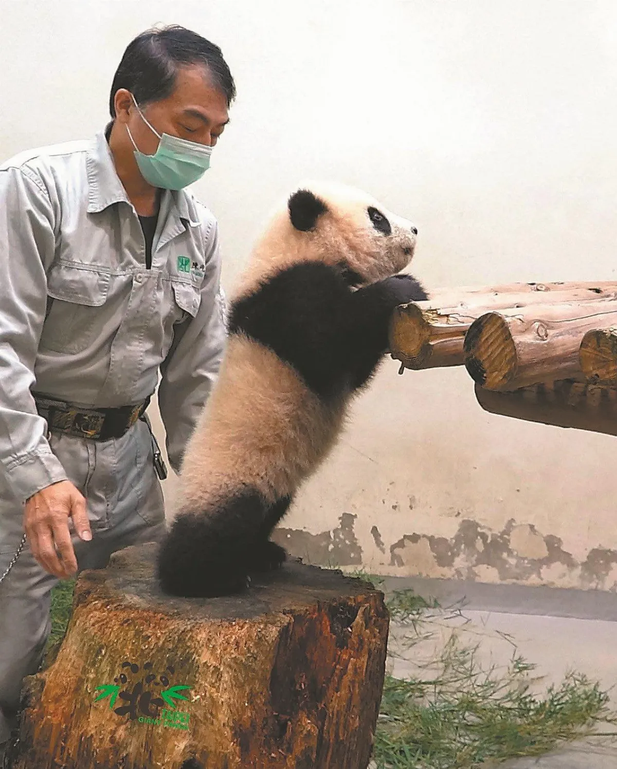 動物行為學院 看演員耍賴賣萌