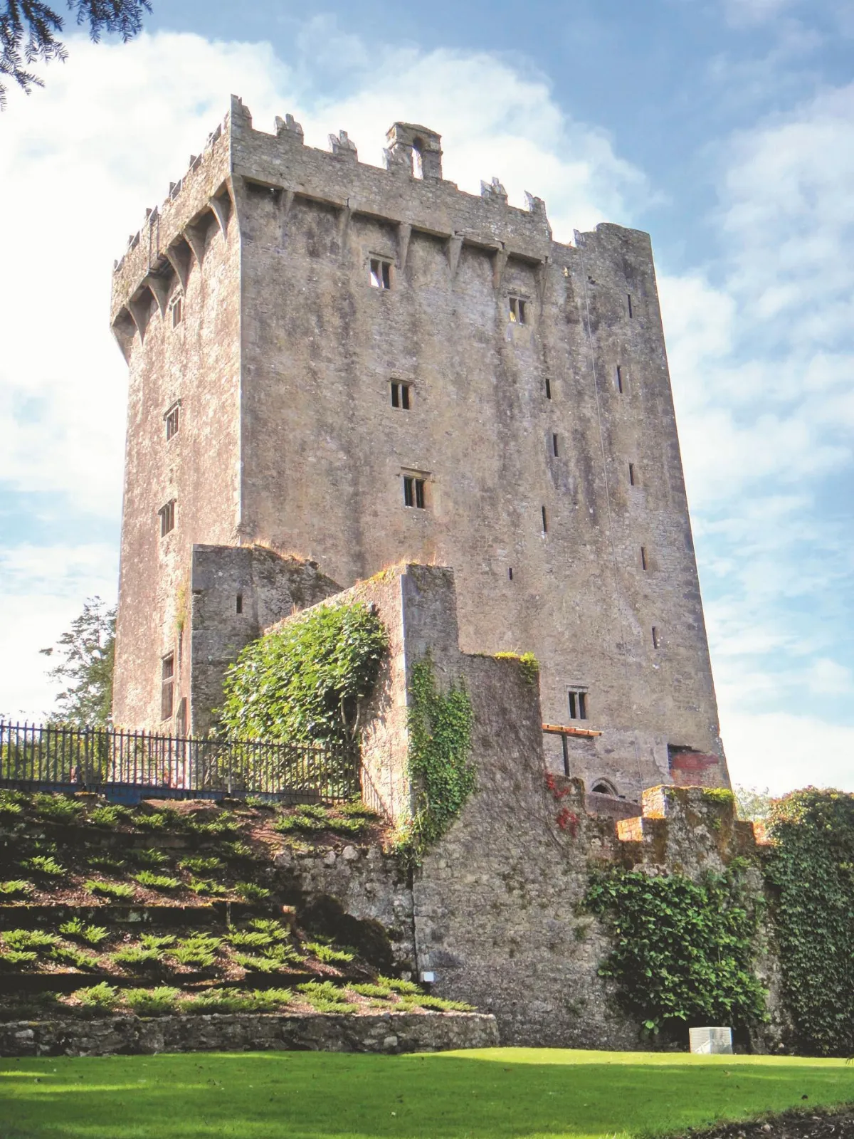印象旅人 布拉尼巧言石 細菌超多