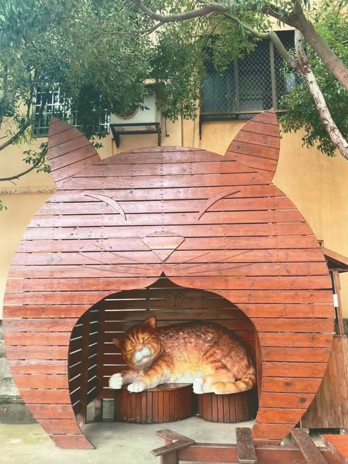 生活快門 一起躲貓貓