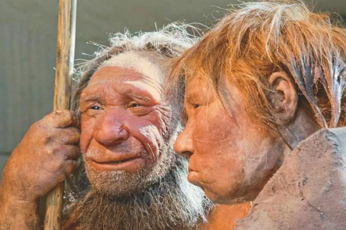 原始人避寒 學洞熊冬眠