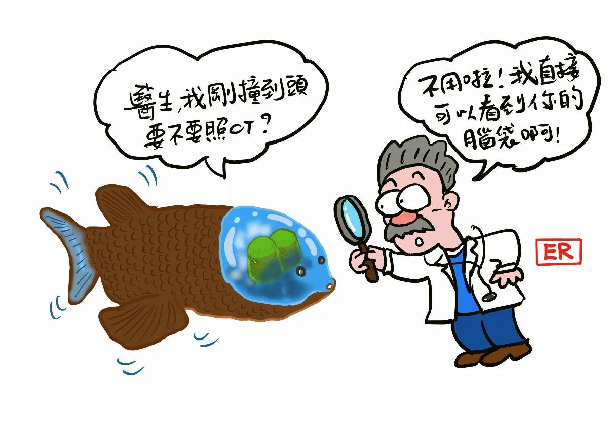 天生有副透明腦袋 太平洋桶眼魚