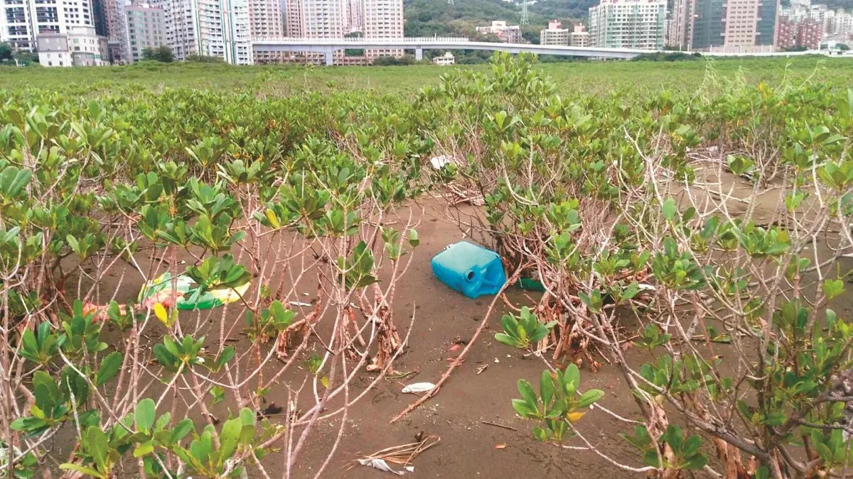 淡水河之愛 愛台灣 英國人揪團淨河