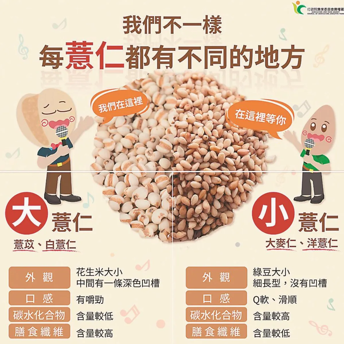 大小薏仁 口感營養大不同